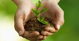 В Казахстане предлагают направлять штрафы за ущерб природе на решение экопроблем