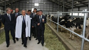 Как экономика повлияла на всю историю Казахстана (окончание) 