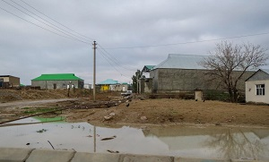Чувствительным чиновникам навоз глаза режет, чужой кошелек спать не дает, а в остальном все благополучно