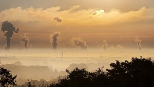 Школьники Бишкека и ученые из России вместе работают над решением экологических проблем