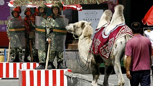 Пекин отчитался о поимке в Синьцзяне 13 тыс. террористов