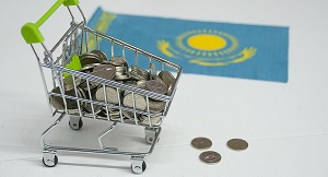 Рассуждения неуместны.  Марат Бекетаев о затратах на переименование столицы .