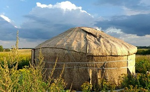 Жители «киргизской деревни» в России обратились за помощью к Путину и Жээнбекову