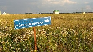 Граждане колхозного поля