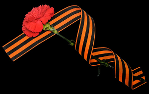 Талибы в Афганистане участвуют в акции «Георгиевская ленточка»