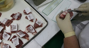  Кыргызстану станет легче торговать мясом и молоком на рынках ЕАЭС