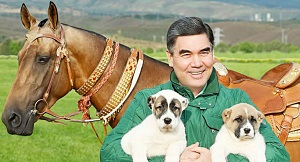 Пока президент посвящает книги собакам, власти Ашхабада забивают их  на глазах у жителей