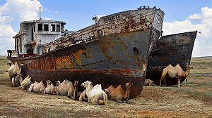 Цветущая пустыня: как меняется облик Аральского моря