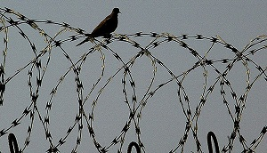 «Их сжирает сама система». О коррупции и порядках в туркменских исправительных колониях