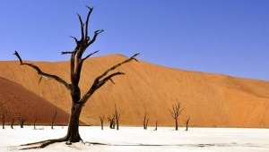 Половину территории Кыргызстана могут накрыть пустыни. Неутешительные прогнозы Всемирного банка