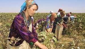 В Узбекистане нарастают противоречия между центром и регионами