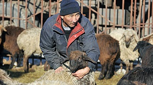 Не в коня корм? О состоянии АПК Казахстана