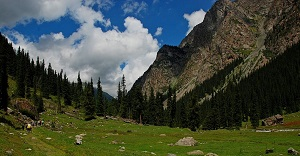 Президенту Кыргызстана Сооронбаю Жээнбекову нужны умы