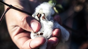 Туркменистан бросил пить газировку