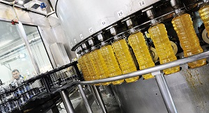 Масло рекой: эксперт рассказал, что может дать Узбекистану членство в ЕАЭС