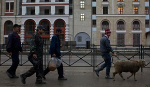 Россия определила сферы, где мигрантам запретят работать в 2020 году.