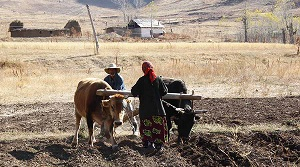 Бедность в Центральной Азии: угрозы для основ евразийской интеграции