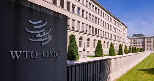 ВТО, региональные блоки, Центральная Азия. Интервью