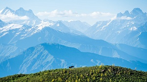 Мнение: «Назвав Таджикистан Арианой, мы заявим о претензии на особую роль таджиков»