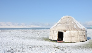 В Кыргызстане устали от митингов, а в Казахстане ими еще не «переболели»