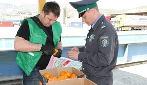 Качество импортных товаров: без коллективного регулирования не обойтись