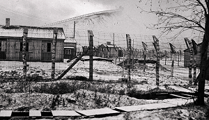 Чтобы помнили. «Ни жалости, ни пощады»