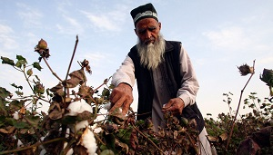 Страх интеграции: нужен ли таджикской экономике ЕАЭС?