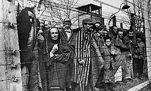 Ужасы лагеря смерти: рассекреченные архивы об освобождении Освенцима