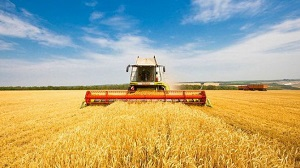 «КазАгро» - холдинг, застрявший в дне вчерашнем