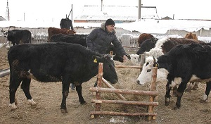 Лукавые цифры казахстанского Минсельхоза