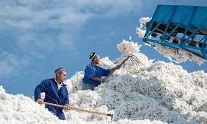 Узбекистан намерен стать наблюдателем в ЕАЭС, о полноценном членстве речь пока не идет