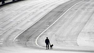 Есть ли жизнь после карантина? Часть третья. Общество