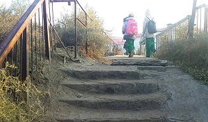 Рэкет, ботокс, любовь. Что еще выявляет комиссия в школах Туркменистана