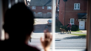 Страны постепенно выходят из карантина. К радости рестлеров и парикмахеров