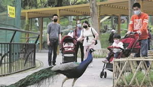 Китай избавил от коронавируса Мао Цзэдун