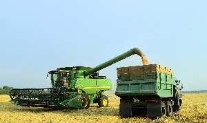 Плюсы и минусы продовольственной безопасности в Узбекистане