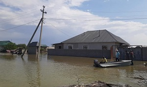 Жители затопленных сел Казахстана ждут компенсацию от Узбекистана