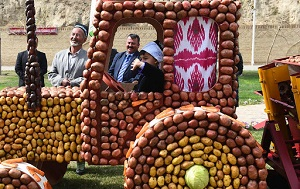 Семь сцен театра абсурда во время пандемии в Таджикистане