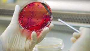 «Красная» биотехнология ЕАЭС – перспективы и наработки