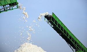 Туркменистан: Бердымухамедов катается на белом лебеде, людям не до этого