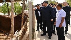 Пекин ускоряет китаизацию ислама