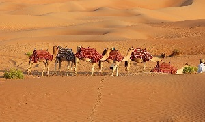 Время больших караванов: Таджикистан на Великом шелковом пути