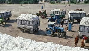 Россия – Туркменистан: стратегических цепочек партнерства всё больше