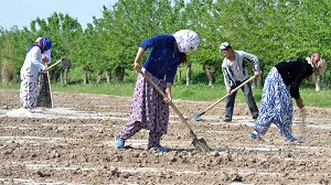 Возможно ли в Таджикистане создать полмиллиона рабочих мест за три года?
