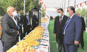 Журналистам Таджикистана заткнули рты штрафами