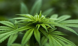 Мировые СМИ — о Центральной Азии. Еженедельный обзор