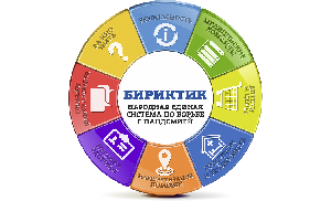 Кыргызстан. Цифровизация в борьбе с пандемией. Итоги 20 дней работы системы Бириктик