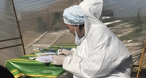 Диагноз: «разруха». Казахстанское здравоохранение и пандемия