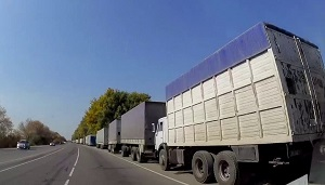 Центральная Азия: COVID-19 повышает востребованность агропромышленной интеграции