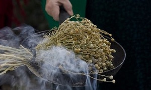 Тяжелая эпидемия в Туркменистане